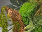 Grand Tableau Végétal Mural 98x38 cm — Mousse Stabilisée & Caisse Américaine Bois Blanc | Pièce Unique