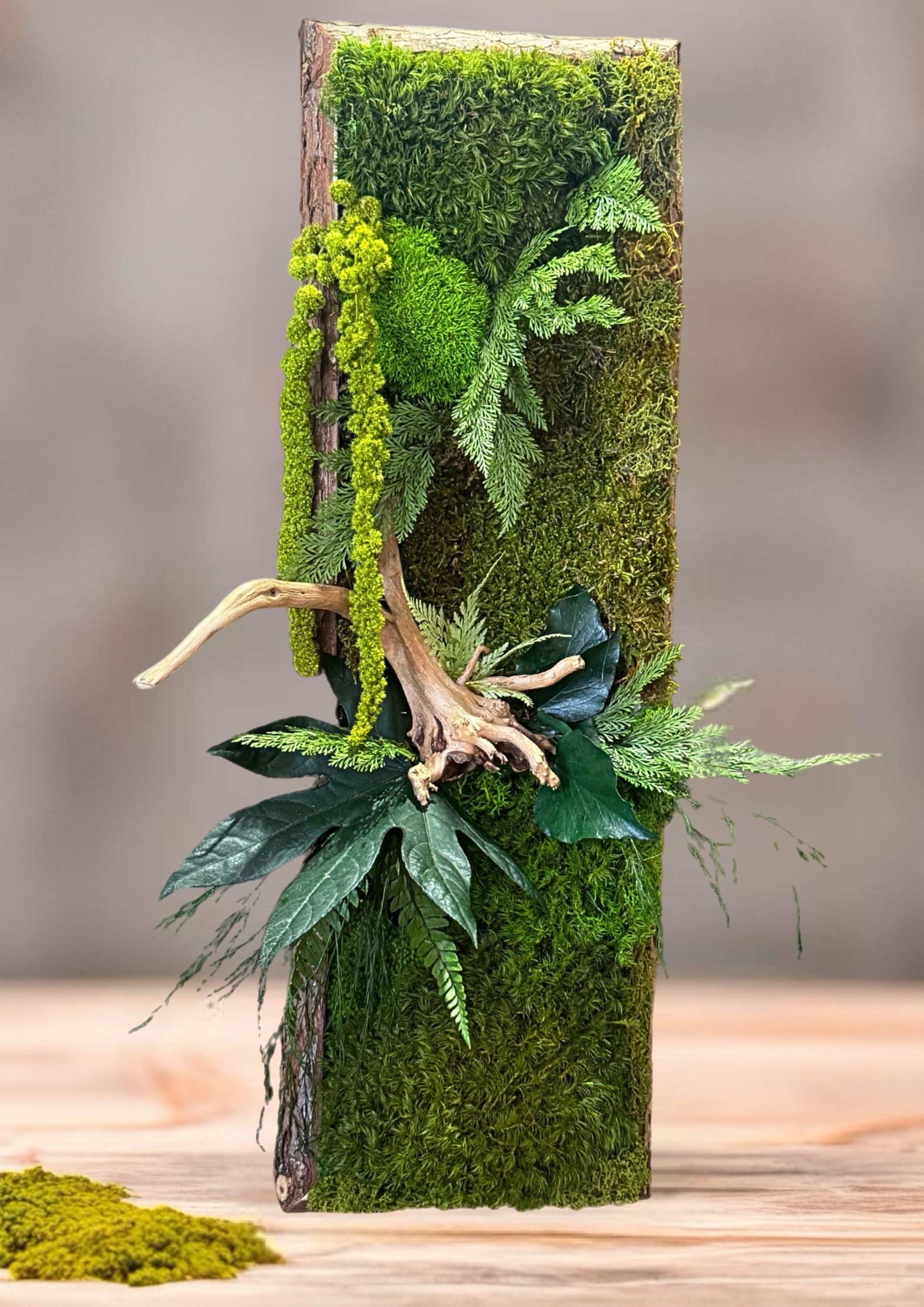 Cadre Végétal Stabilisé Vertical | Bois Flotté & Écorce Naturelle | 48 x 17 cm