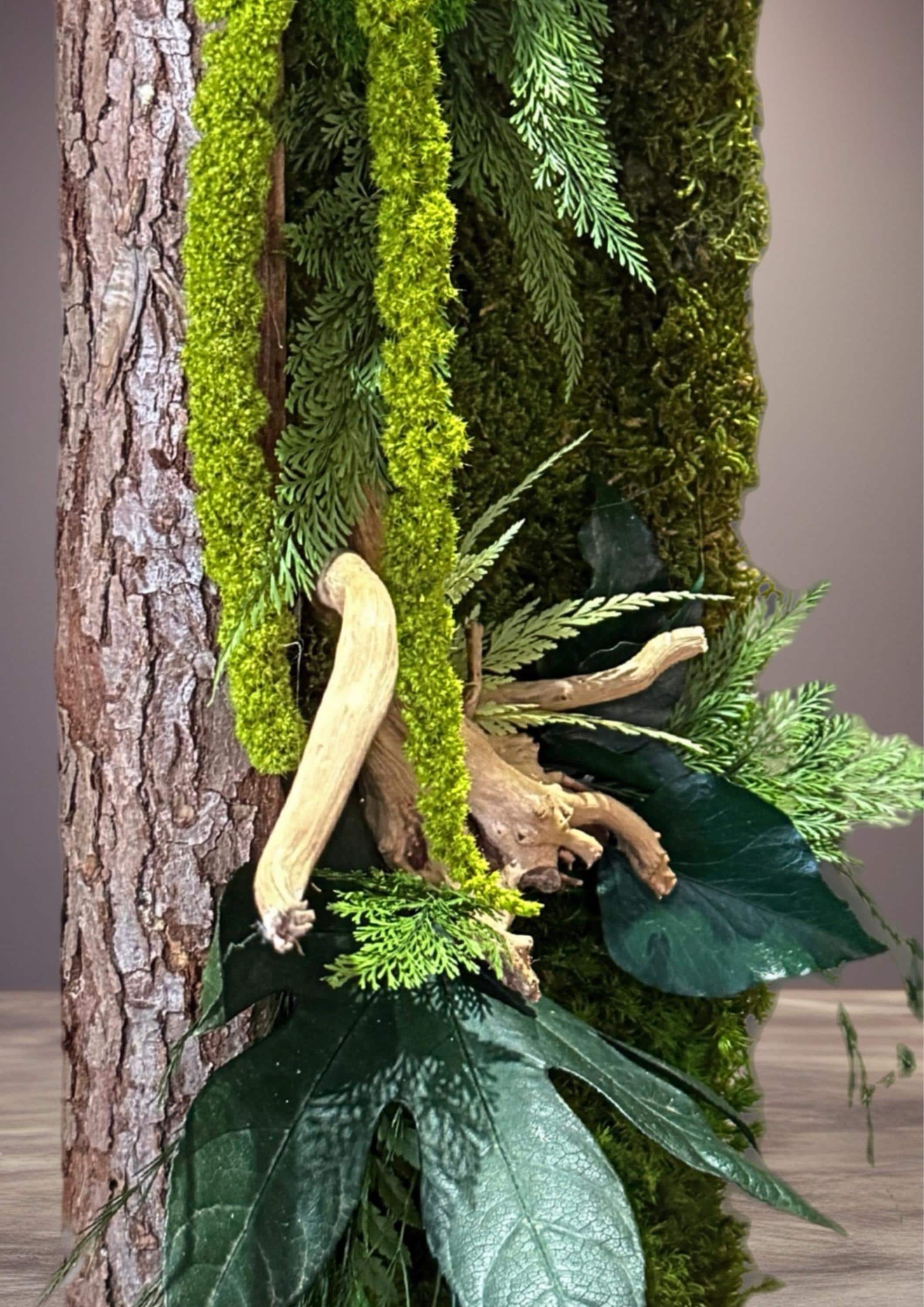 Cadre Végétal Stabilisé Vertical | Bois Flotté & Écorce Naturelle | 48 x 17 cm