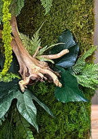 Cadre Végétal Stabilisé Vertical | Bois Flotté & Écorce Naturelle | 48 x 17 cm