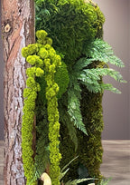 Cadre Végétal Stabilisé Vertical | Bois Flotté & Écorce Naturelle | 48 x 17 cm