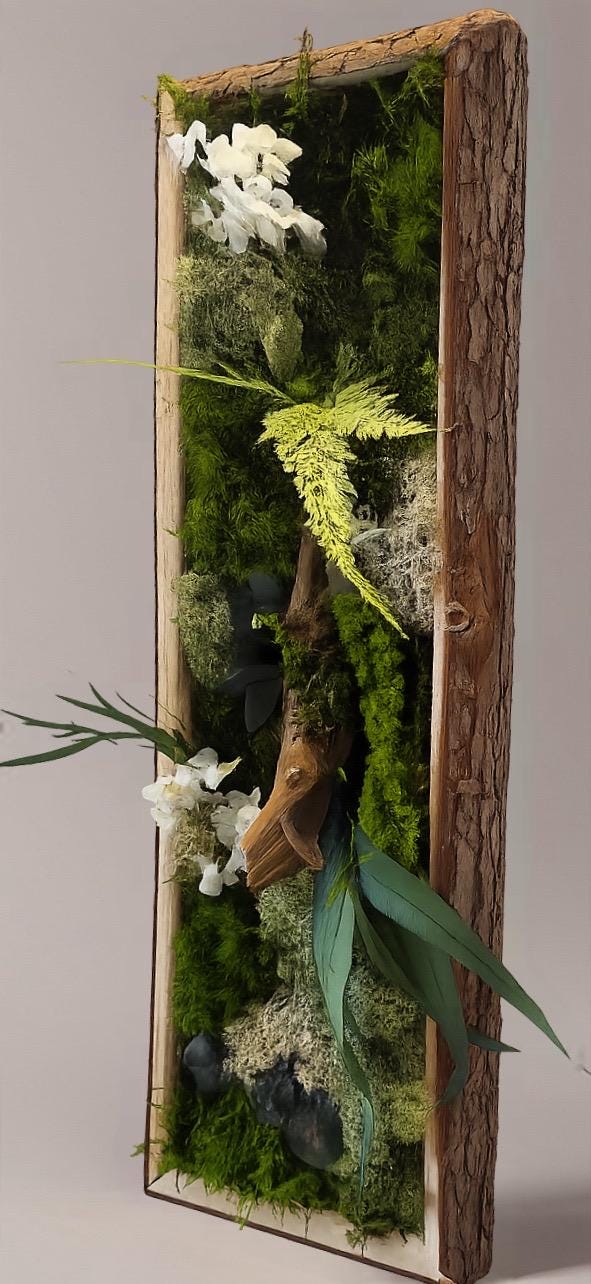 Cadre Végétal Stabilisé Vertical — Mousse & Bois Flotté | Décoration Murale Nature