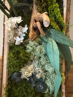 Cadre Végétal Stabilisé Vertical — Mousse & Bois Flotté | Décoration Murale Nature