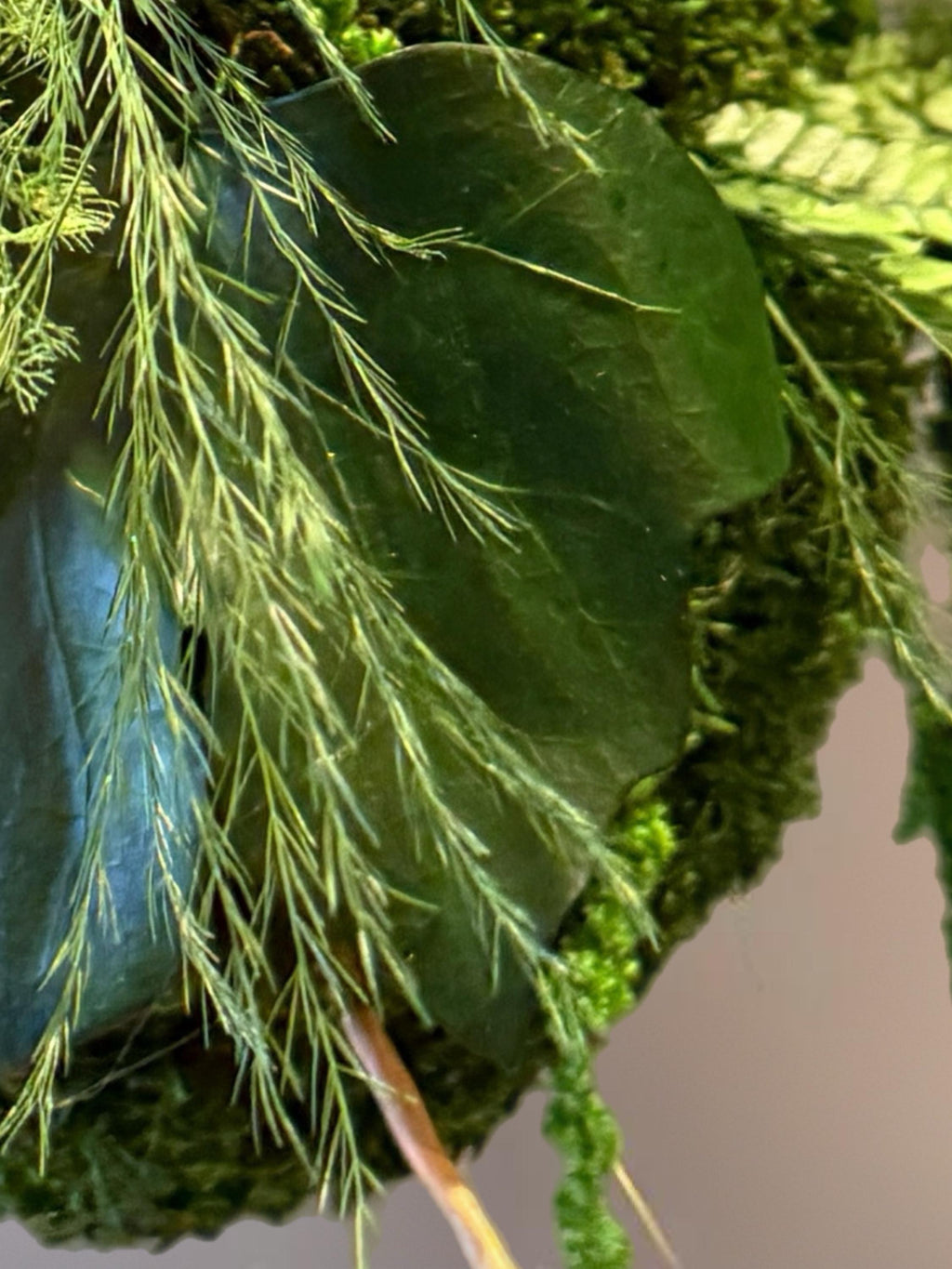 Kokedama Végétal Suspendu – Sphère Stabilisée Fait Main