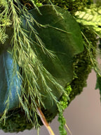 Kokedama Végétal Suspendu – Sphère Stabilisée Fait Main