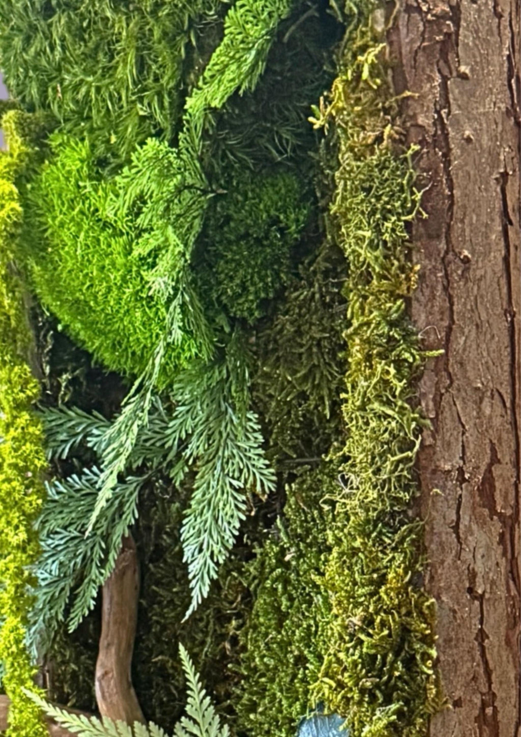 Cadre Végétal Stabilisé Vertical | Bois Flotté & Écorce Naturelle | 48 x 17 cm