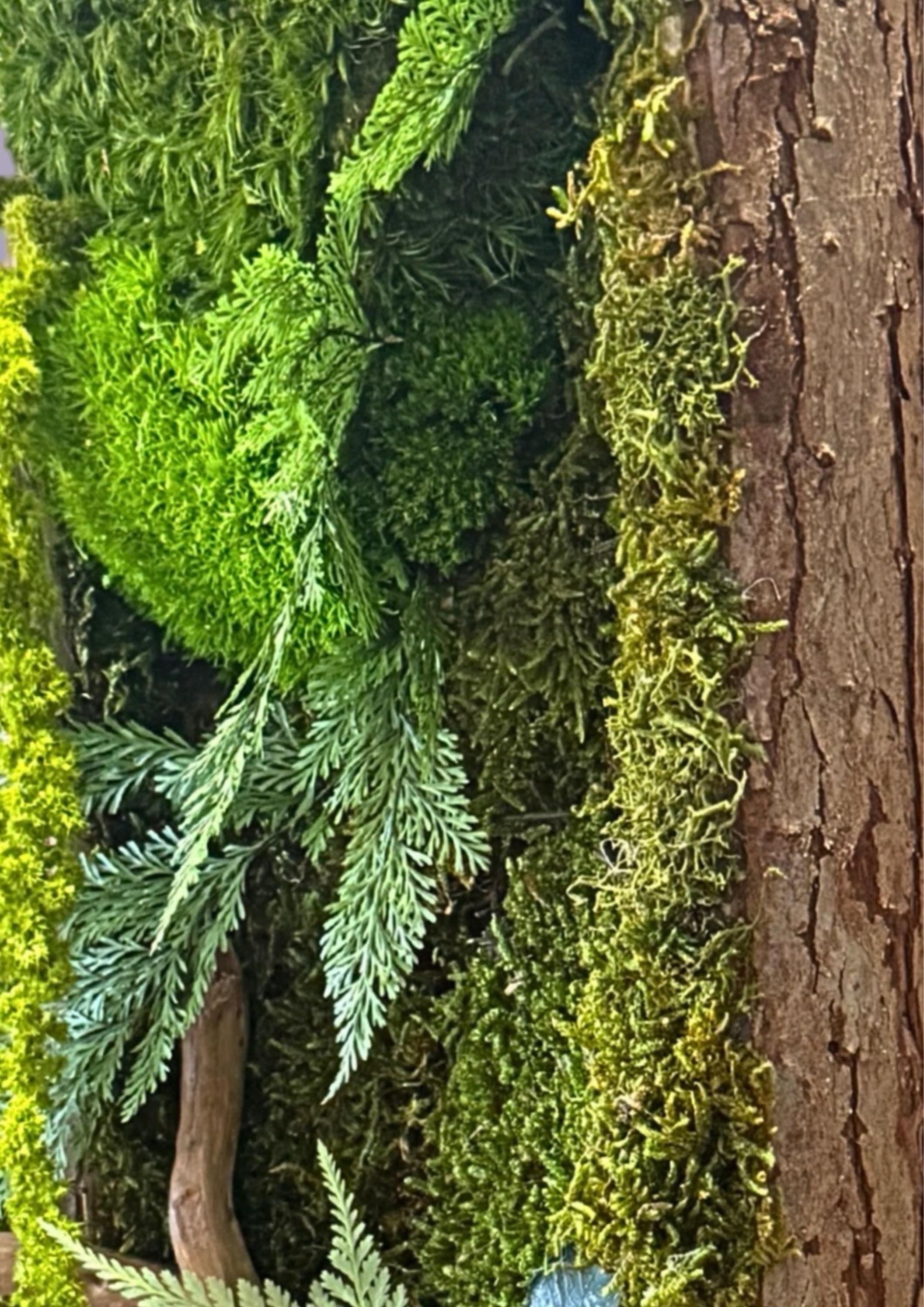 Cadre Végétal Stabilisé Vertical | Bois Flotté & Écorce Naturelle | 48 x 17 cm
