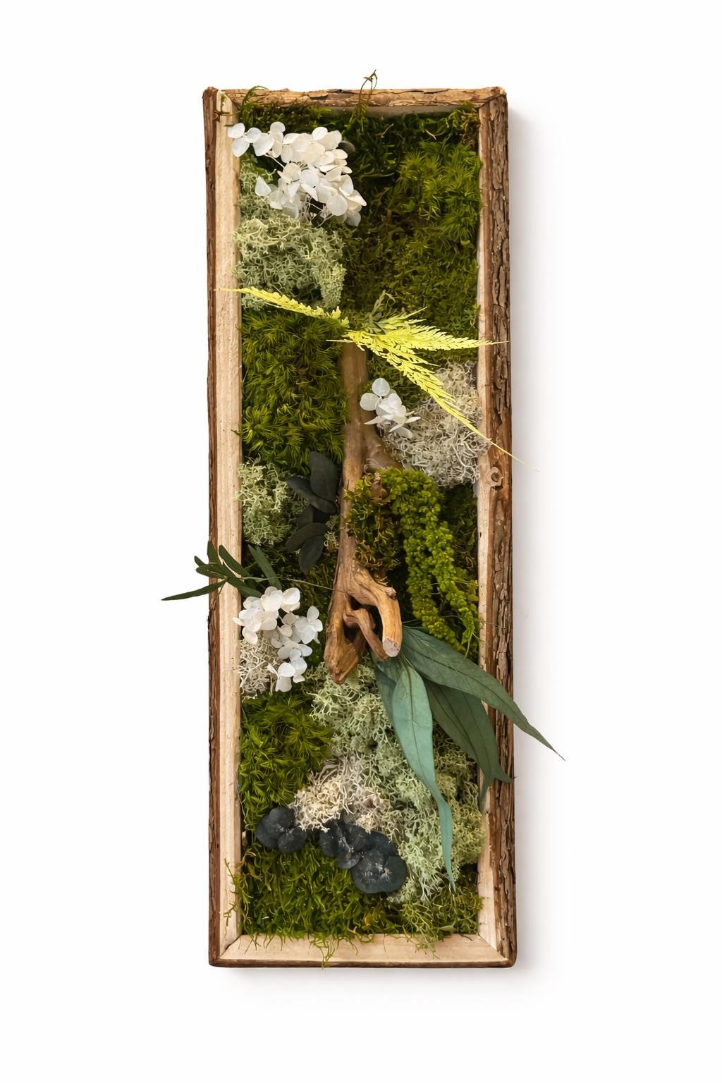 Cadre Végétal Stabilisé Vertical — Mousse & Bois Flotté | Décoration Murale Nature