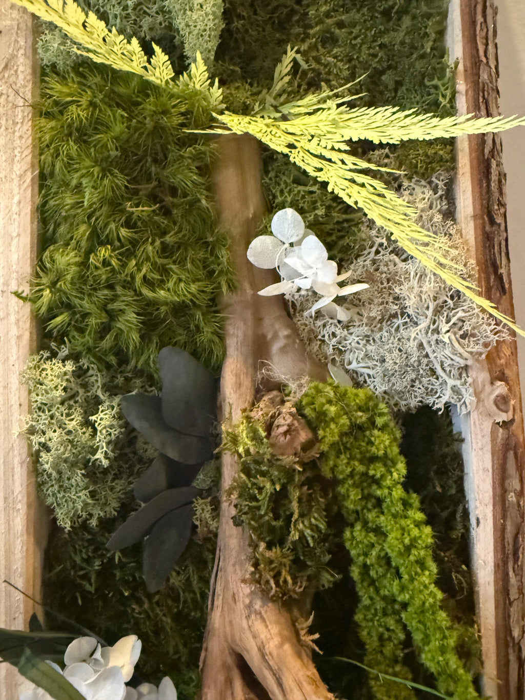 Cadre Végétal Stabilisé Vertical — Mousse & Bois Flotté | Décoration Murale Nature