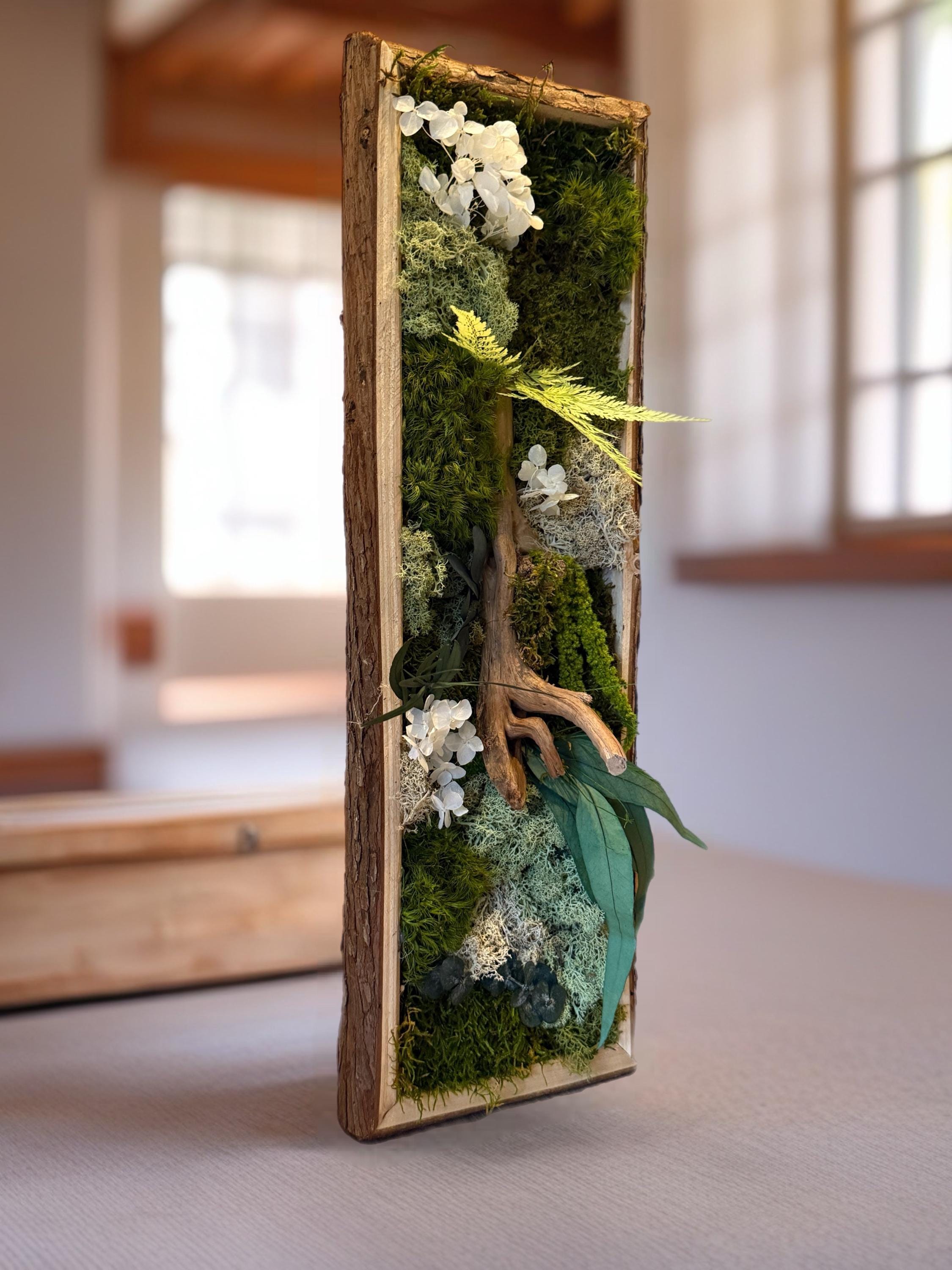 Cadre Végétal Stabilisé Vertical — Mousse & Bois Flotté | Décoration Murale Nature
