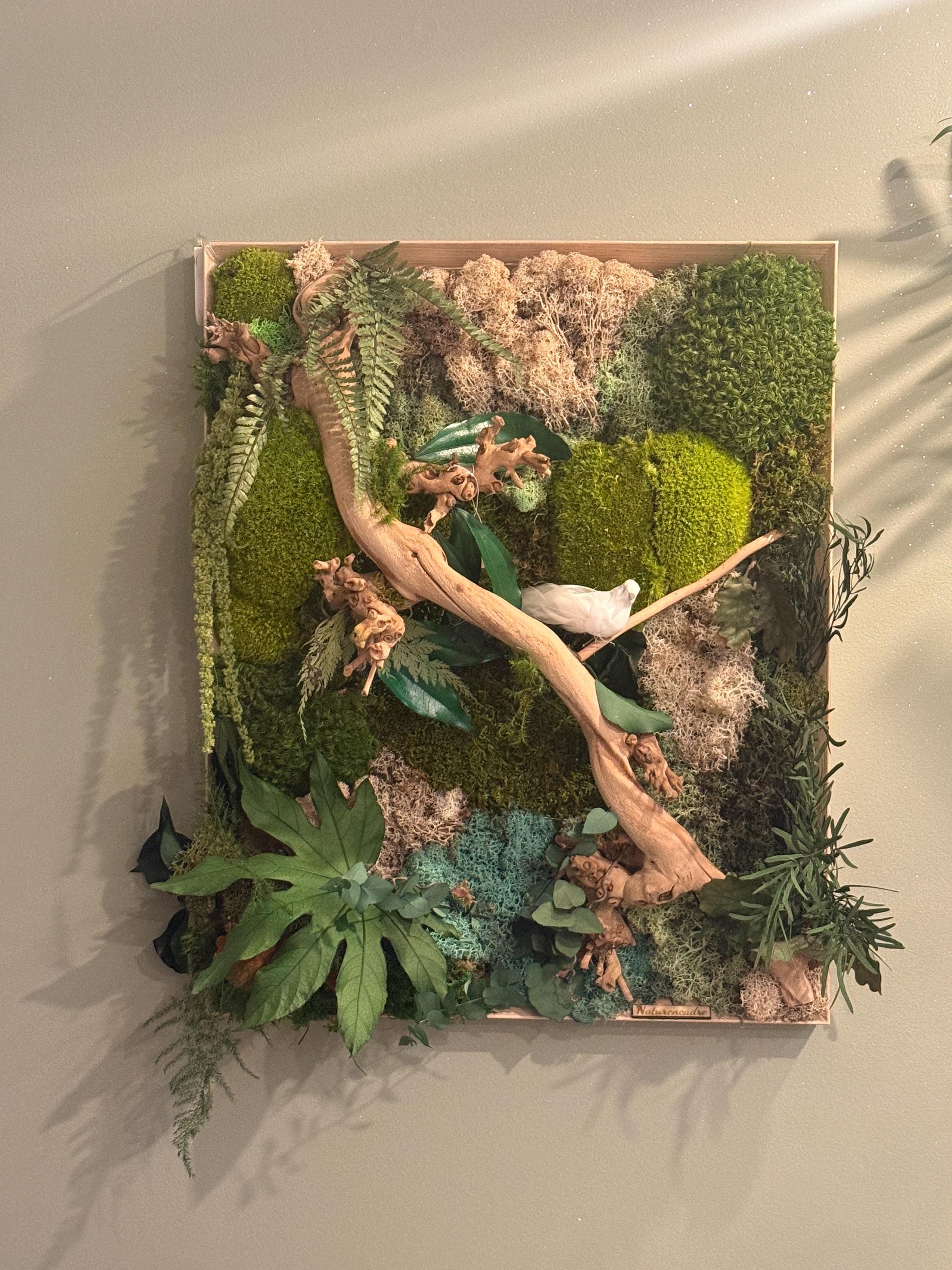 Cadre végétal stabilisé lumineux- mur végétal zen avec bois flotté, mousse naturelle et feuillages