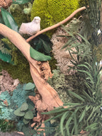 Cadre végétal stabilisé lumineux- mur végétal zen avec bois flotté, mousse naturelle et feuillages