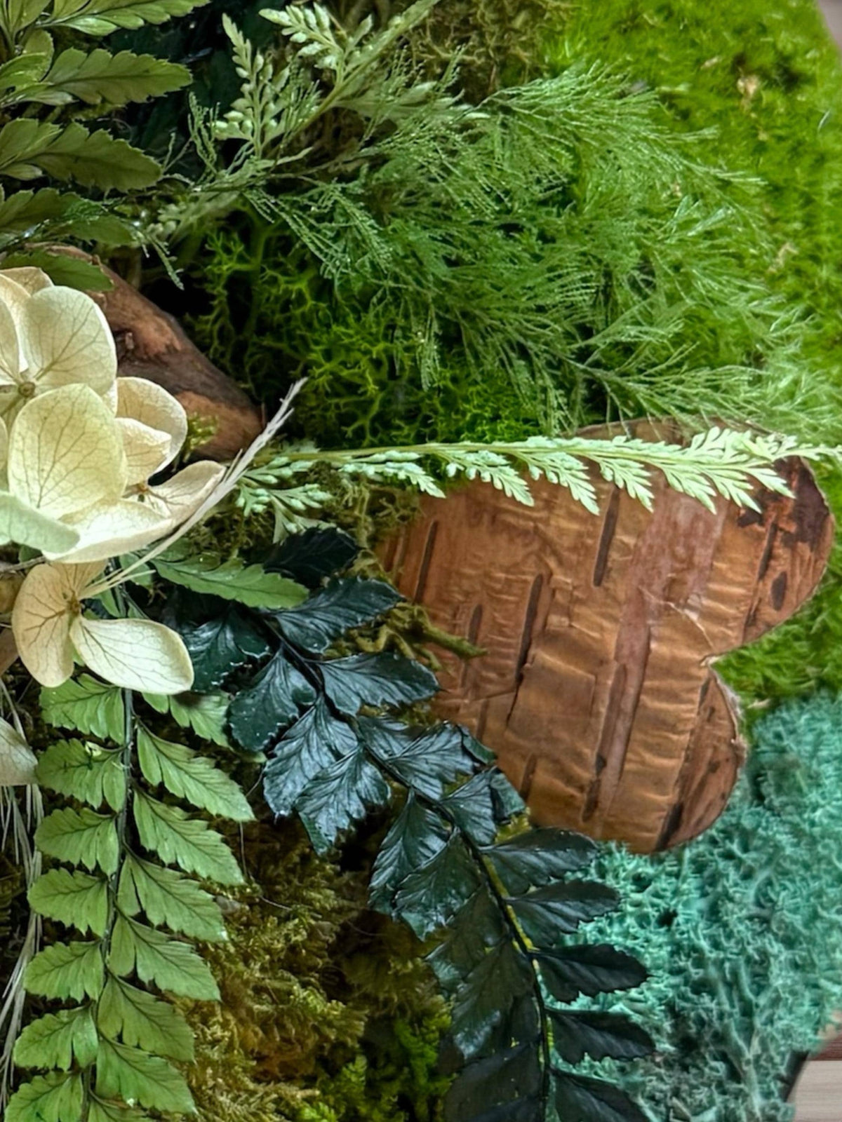 Détail de mousses stabilisées et fougères naturelles dans un cadre végétal rond fait main, décoration végétale murale