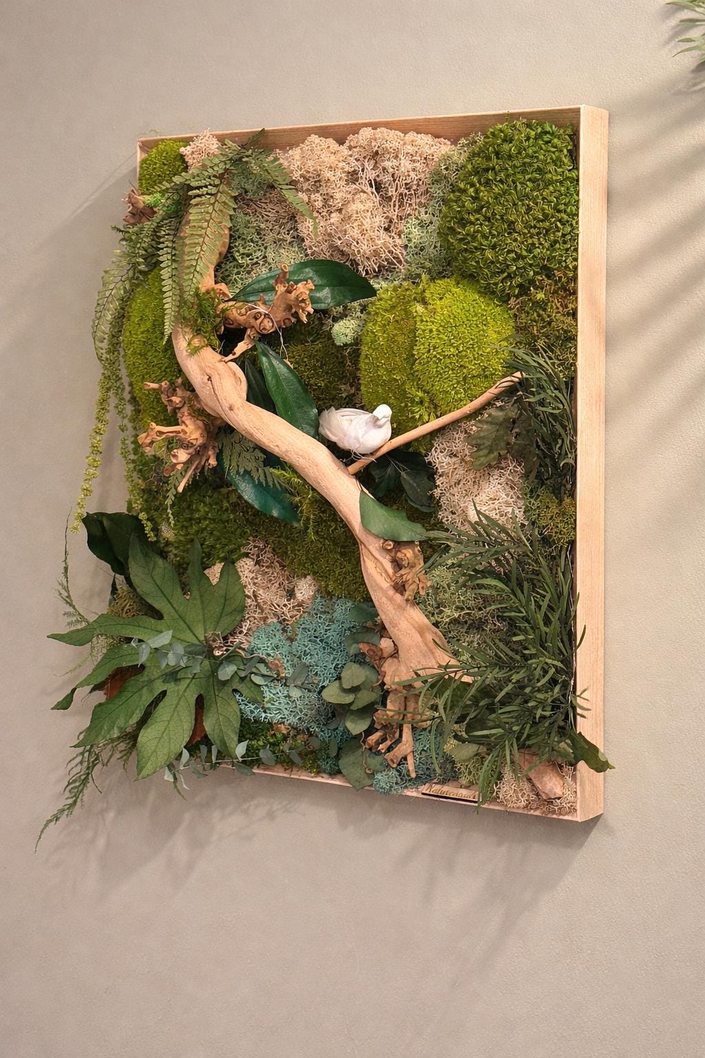 Cadre végétal stabilisé lumineux- mur végétal zen avec bois flotté, mousse naturelle et feuillages