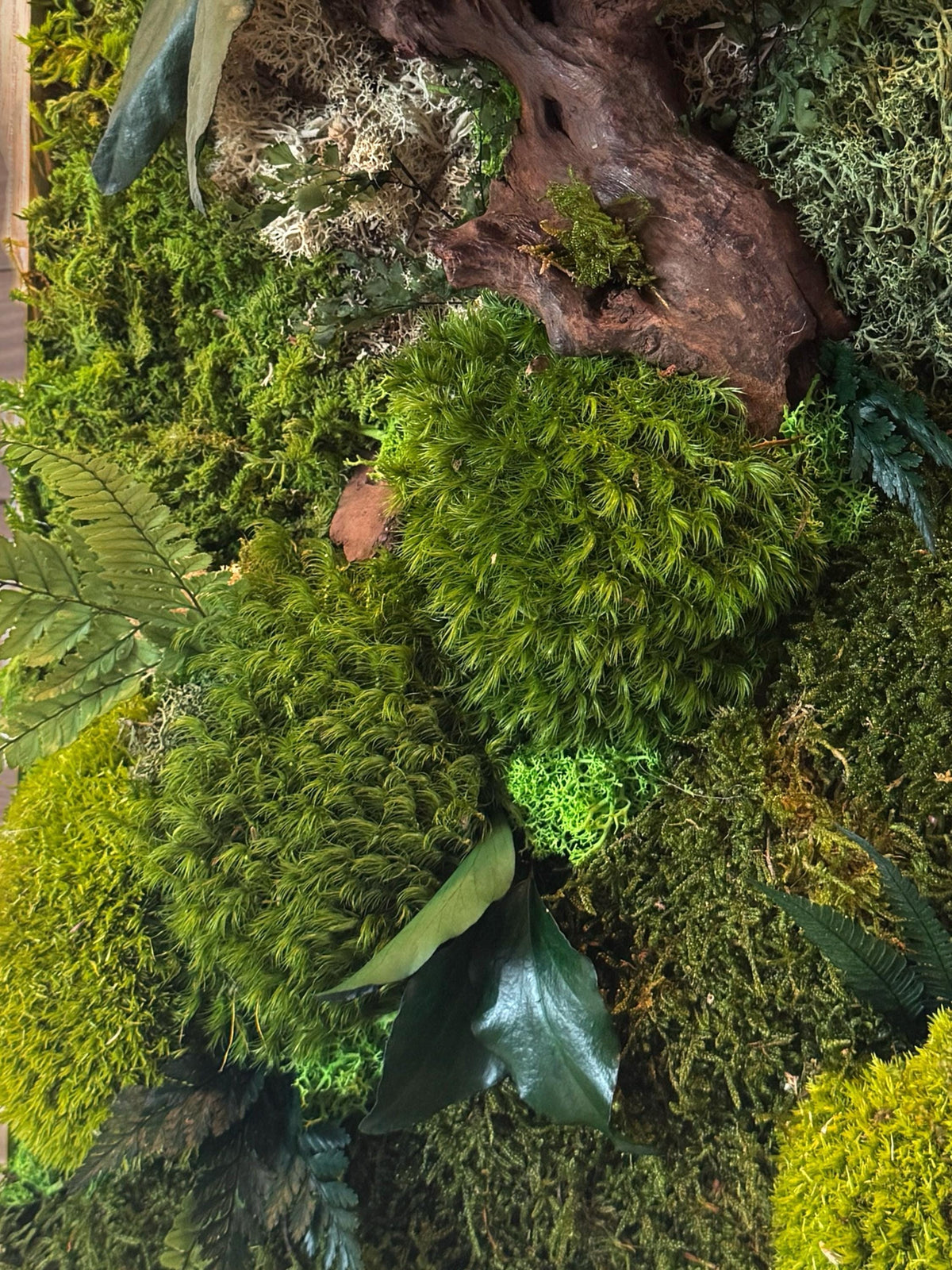 Cadre végétal mural 42 × 33 cm – Mousse et lichens stabilisés