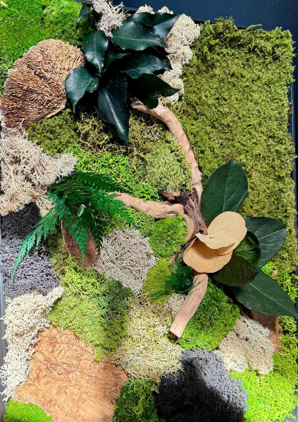 Cadre végétal stabilisé 42 × 33 cm – Mousse et bois flotté