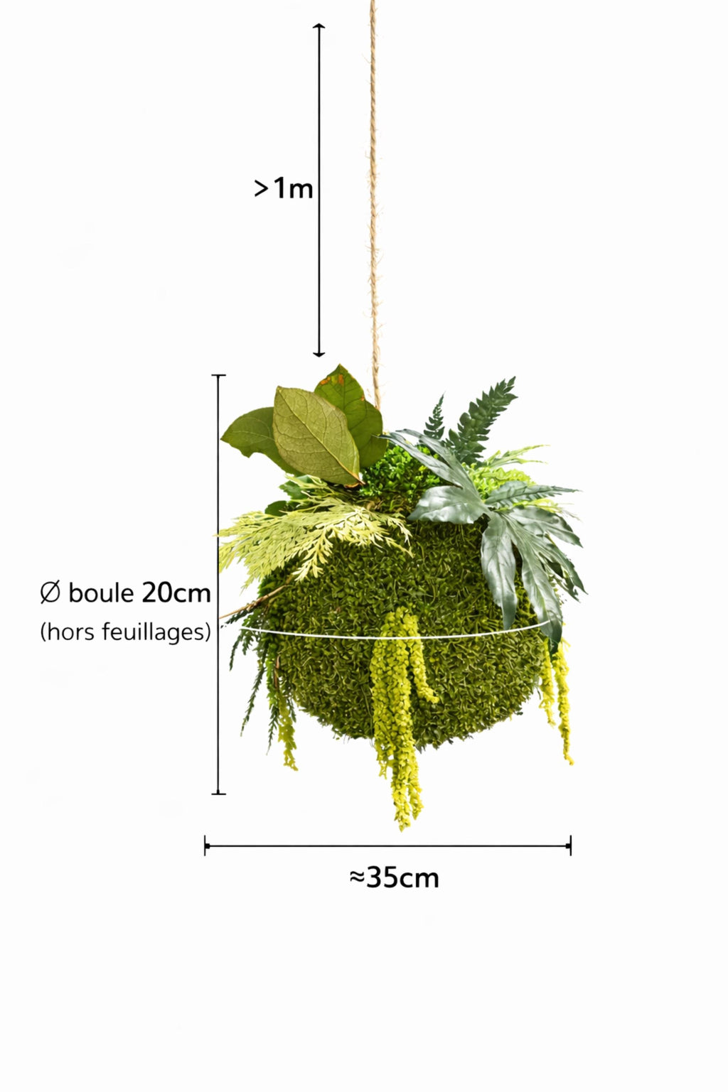 Kokedama Végétal Suspendu – Sphère Stabilisée Fait Main