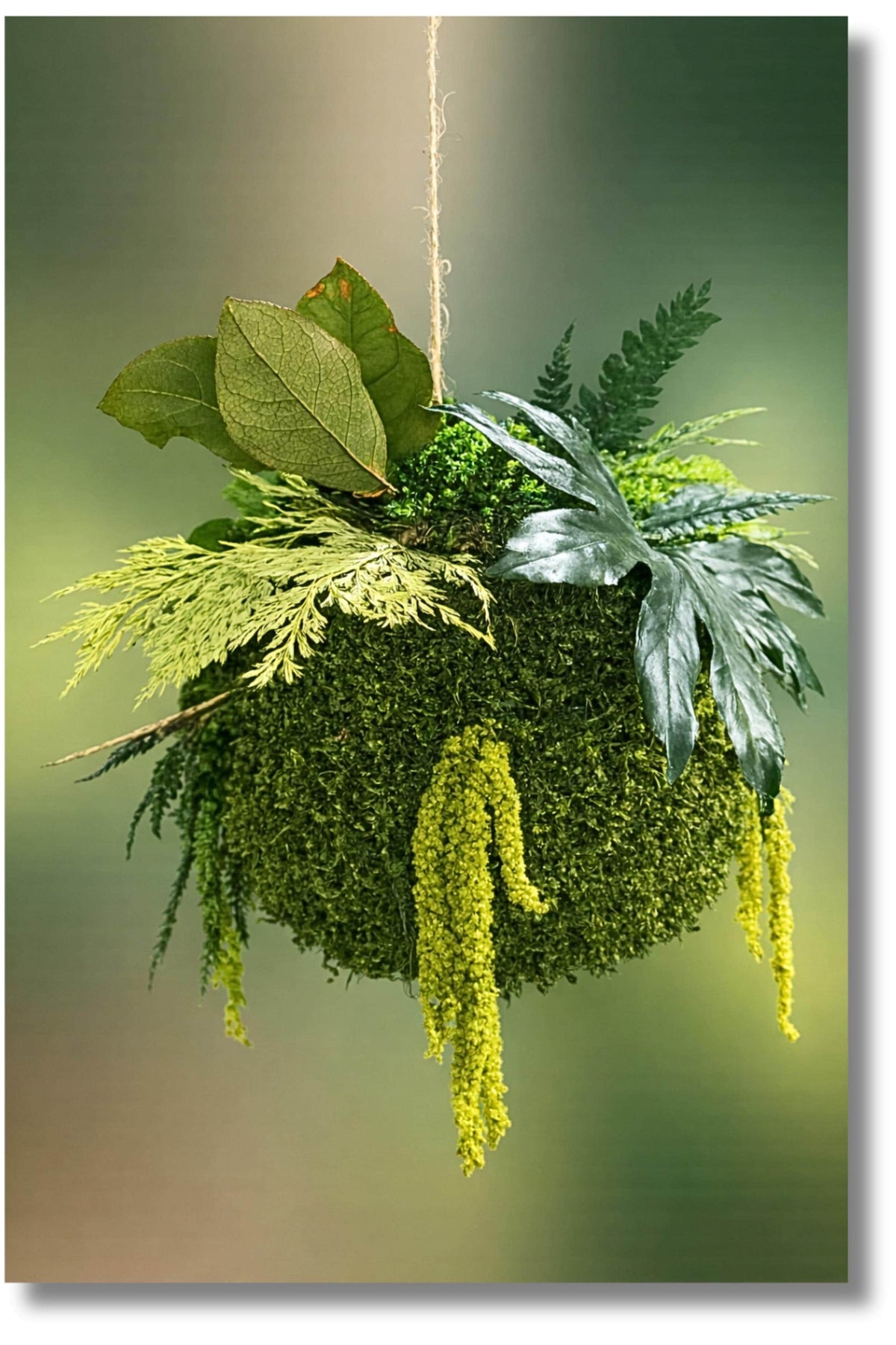 Kokedama Végétal Suspendu – Sphère Stabilisée Fait Main