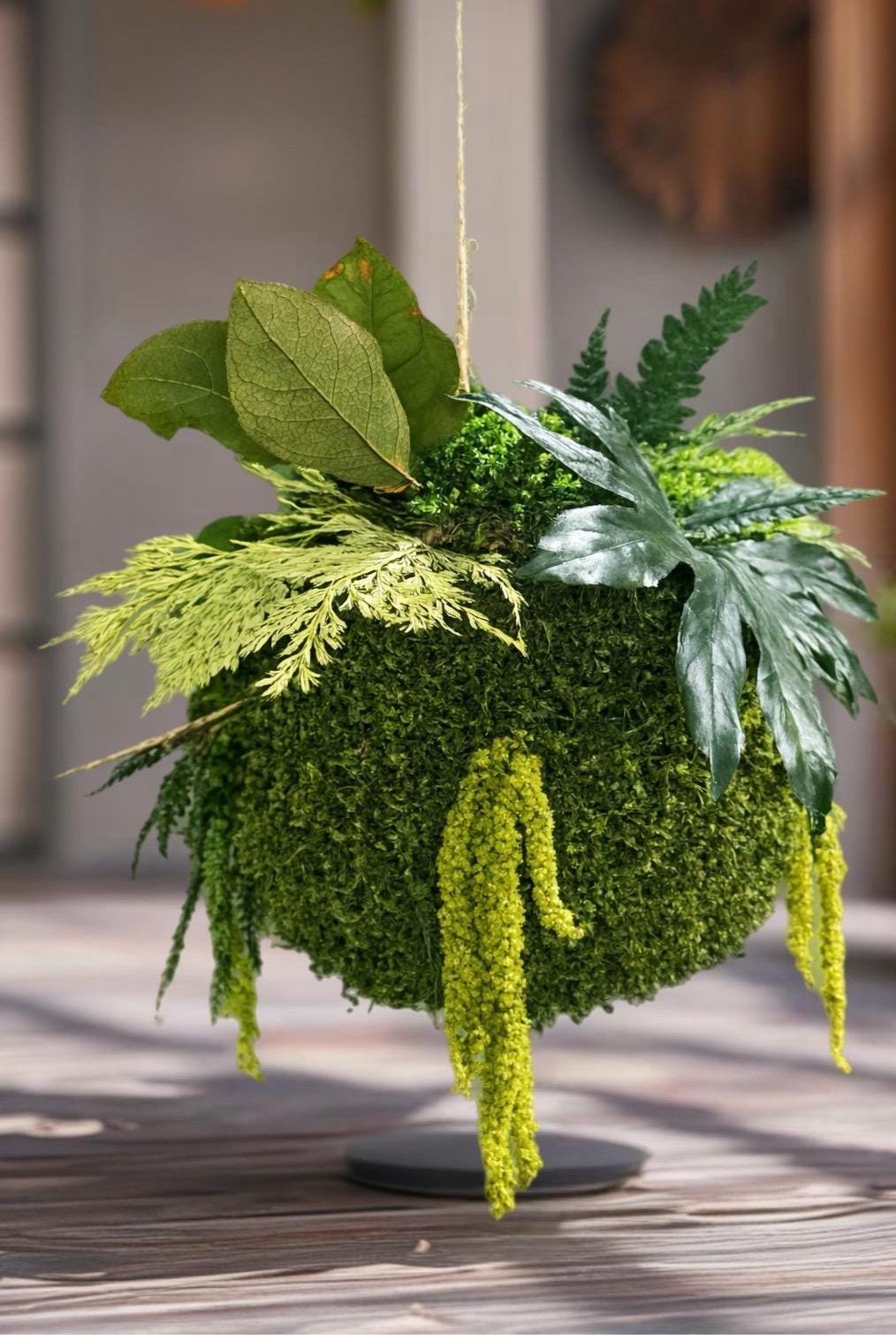 Kokedama décoratif suspendu avec boule en mousse stabilisée de 20 cm (sans feuillages), envergure totale avec végétaux d’environ 35 cm et corde d’accroche ajustable de plus d’1 m.
