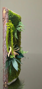 Cadre Végétal Stabilisé Vertical | Bois Flotté & Écorce Naturelle | 48 x 17 cm