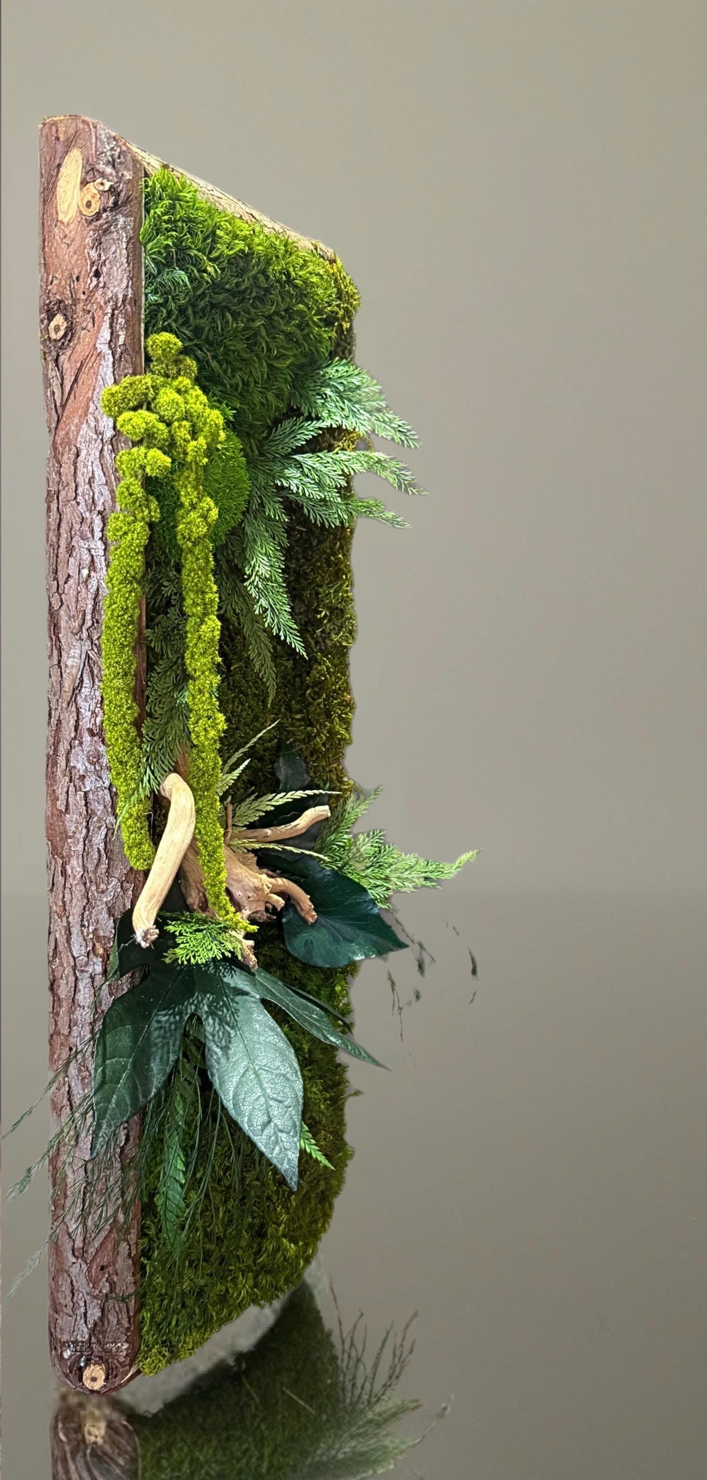 Cadre Végétal Stabilisé Vertical | Bois Flotté & Écorce Naturelle | 48 x 17 cm