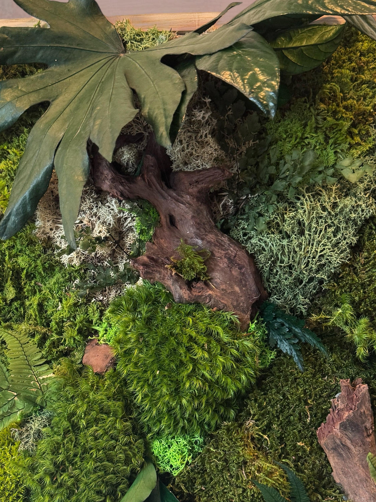 Cadre végétal mural 42 × 33 cm – Mousse et lichens stabilisés