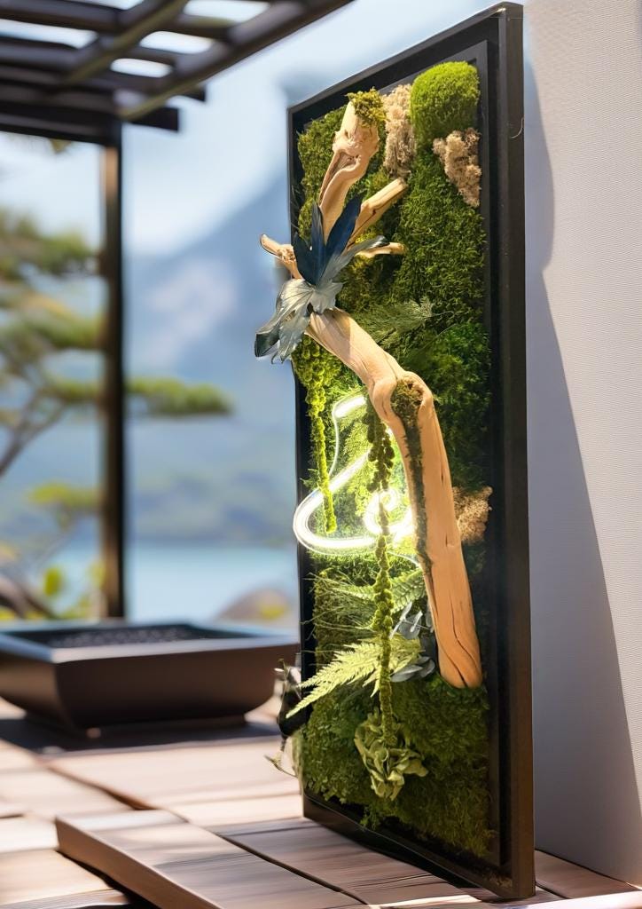 Cadre Végétal Lumineux Zen – Mousse Stabilisée & Bois Flotté | Caisse Américaine