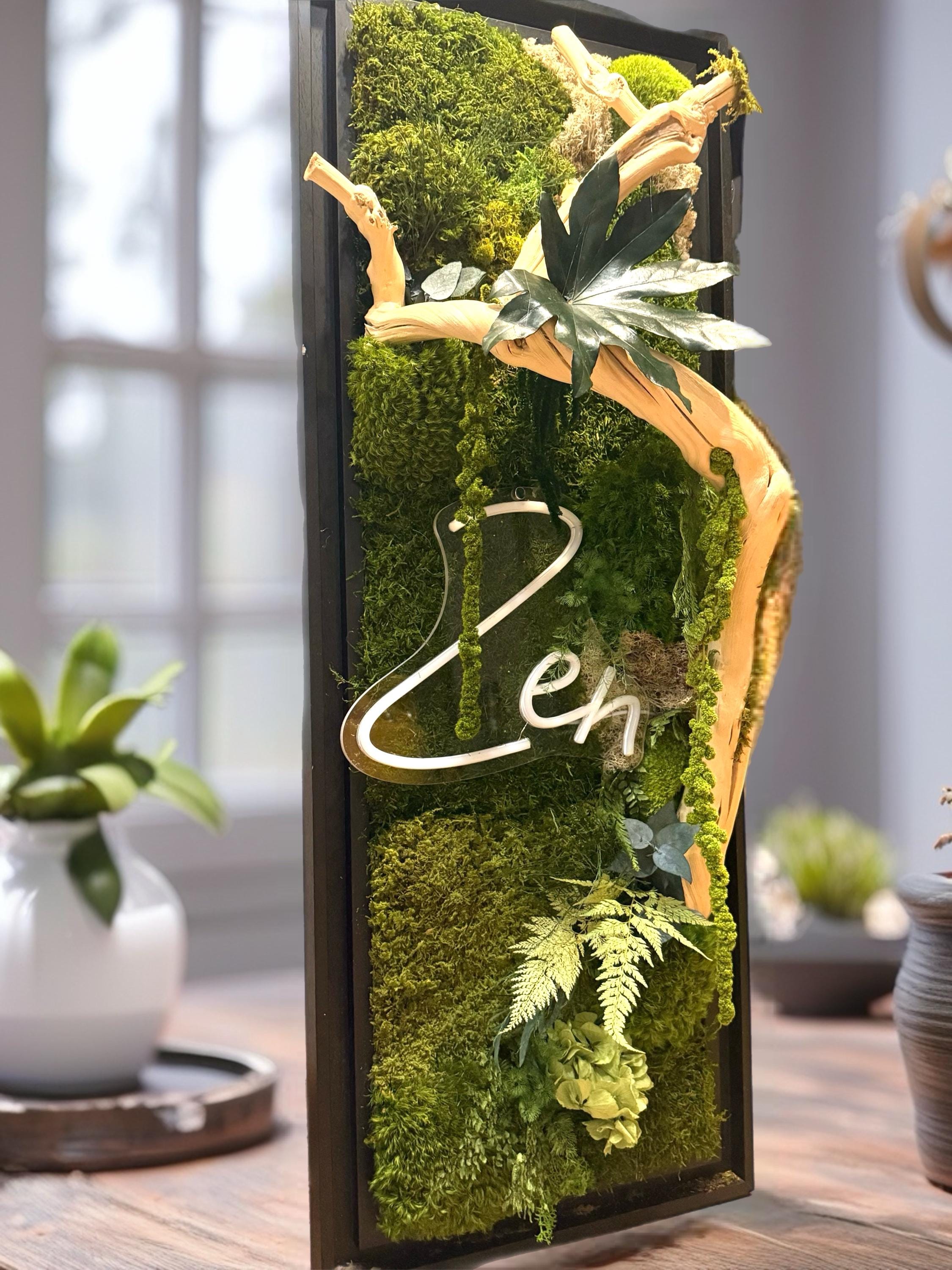 Cadre Végétal Lumineux Zen – Mousse Stabilisée & Bois Flotté | Caisse Américaine