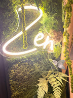Cadre Végétal Lumineux Zen – Mousse Stabilisée & Bois Flotté | Caisse Américaine