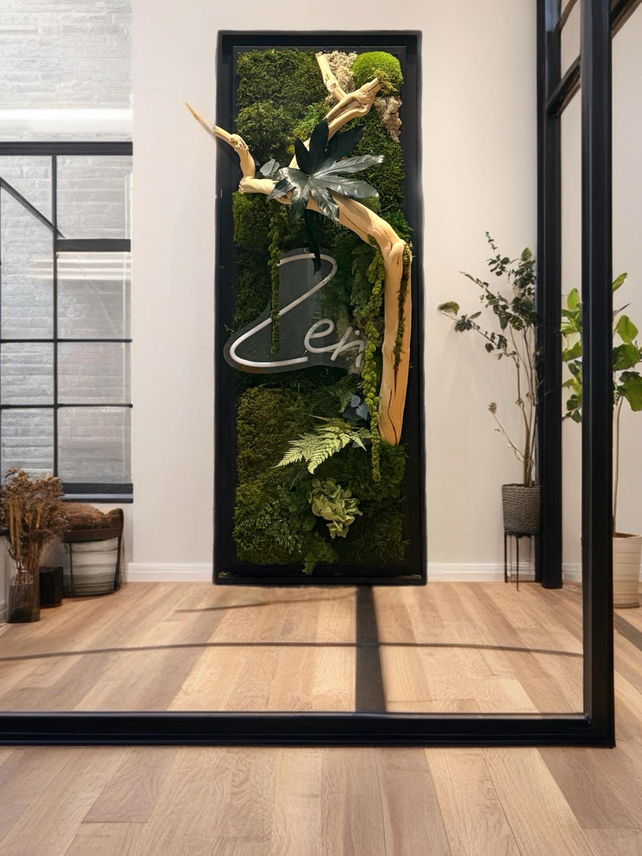 Cadre Végétal Lumineux Zen – Mousse Stabilisée & Bois Flotté | Caisse Américaine