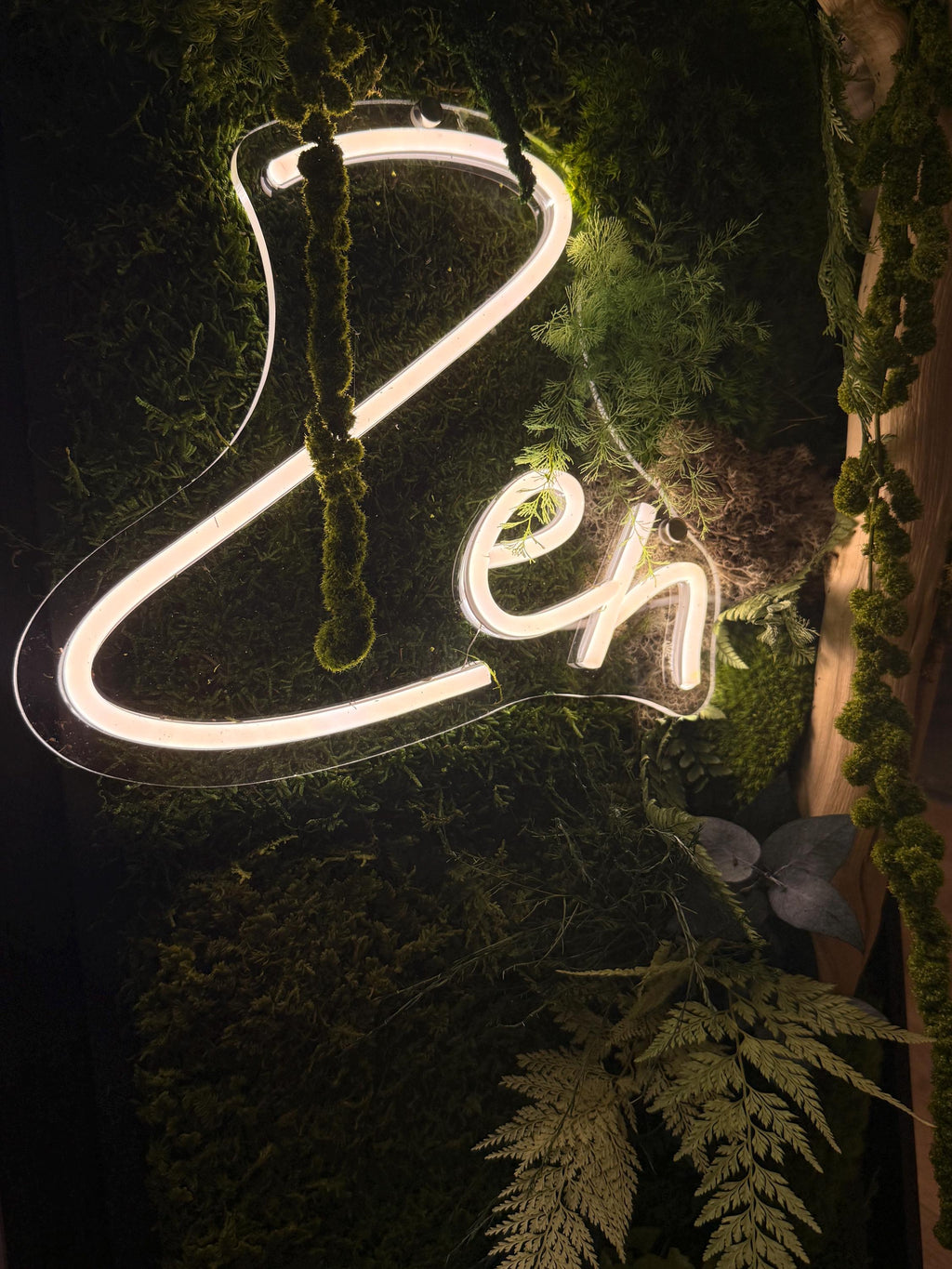 Cadre Végétal Lumineux Zen – Mousse Stabilisée & Bois Flotté | Caisse Américaine