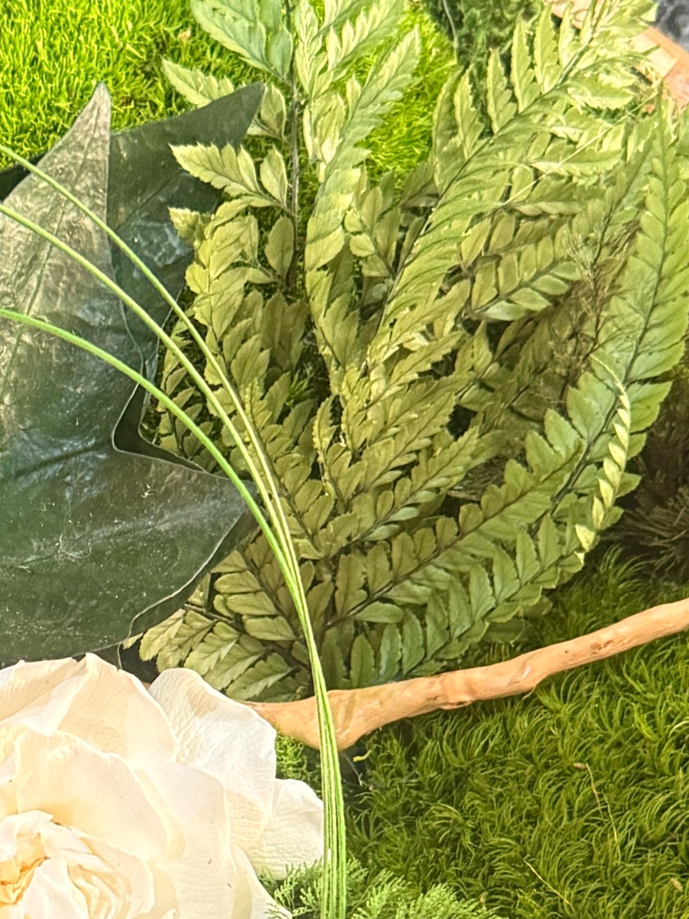 Centre de Table Végétal – Mousse, Fleur Blanche & Feuillages Stabilisés sur Bois de Manguier | Mariage Bohème