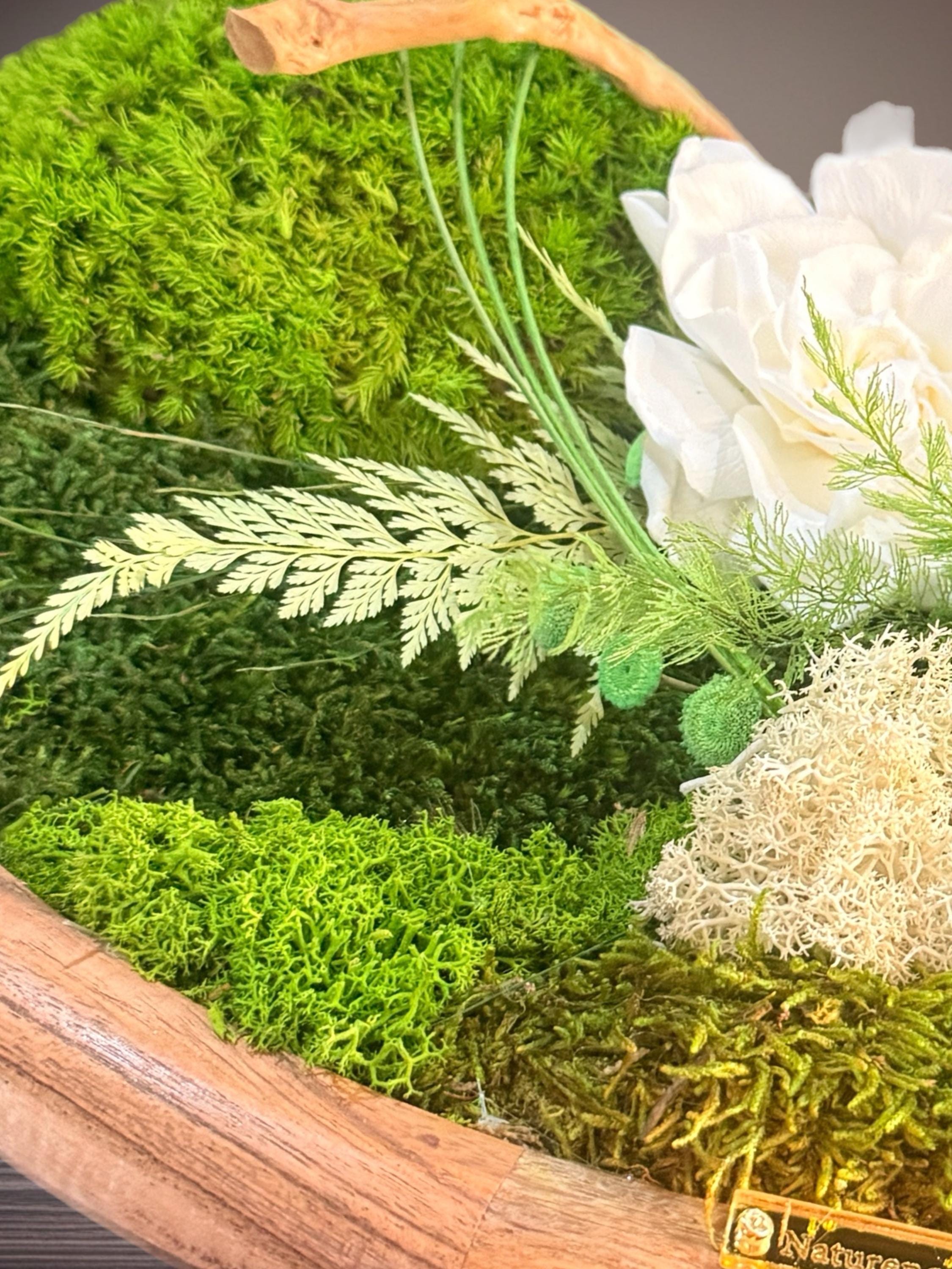 Centre de Table Végétal – Mousse, Fleur Blanche & Feuillages Stabilisés sur Bois de Manguier | Mariage Bohème