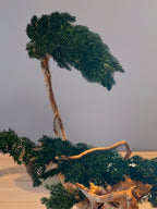 Sculpture Végétale Stabilisée Style Bonsaï | Genévrier & Bois Naturel | 43 cm