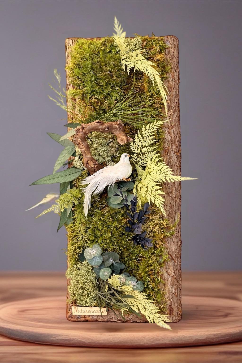 Cadre Végétal Stabilisé Vertical Écorce Naturelle — Mousse & Feuillages | Hirondelle Optionnelle
