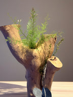 Décoration Végétale Bois Flotté | Gardénia & Eucalyptus Stabilisés | Centre de Table