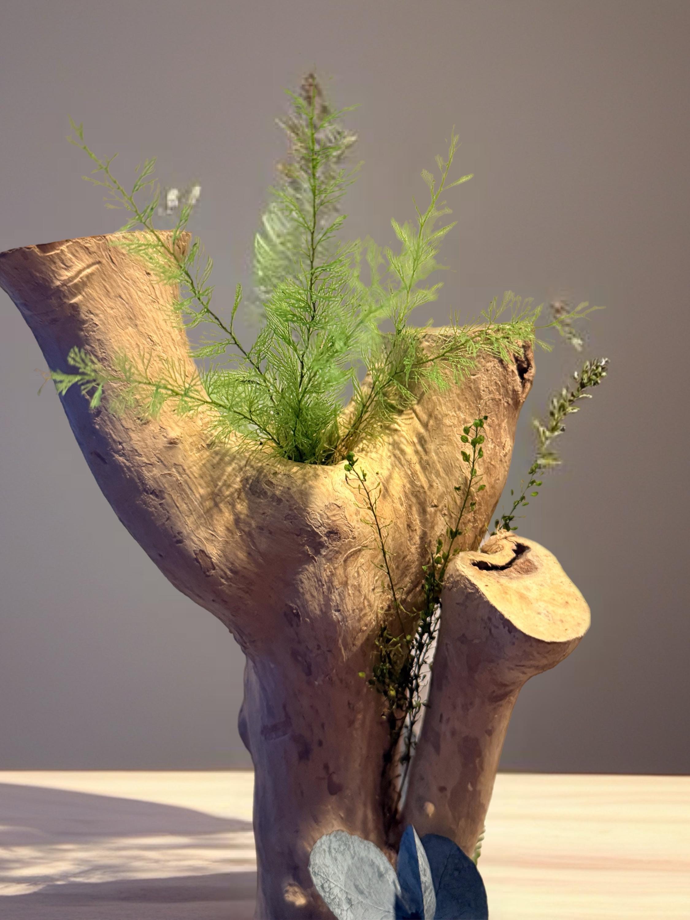 Décoration Végétale Bois Flotté | Gardénia & Eucalyptus Stabilisés | Centre de Table