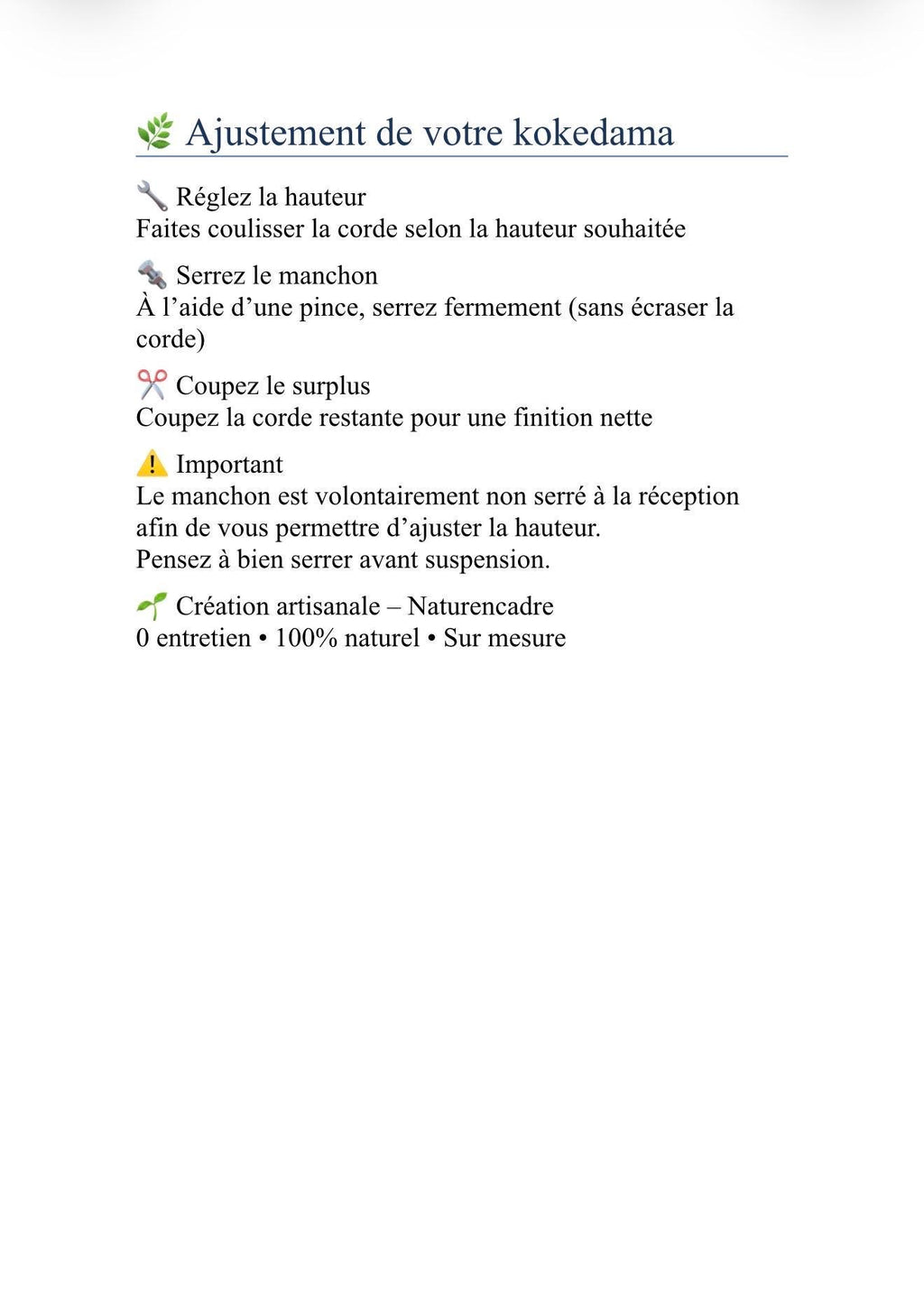 Kokedama suspendu 20 cm – Mousse et feuillage stabilisés