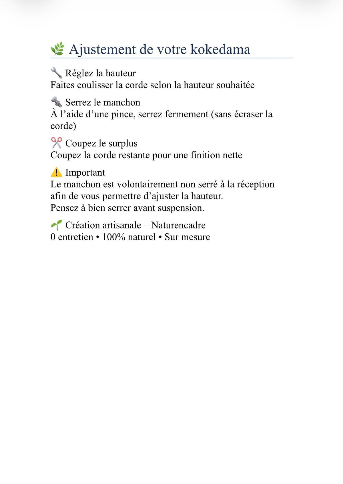 Kokedama suspendu 20 cm – Mousse et feuillage stabilisés