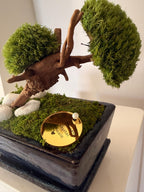Bonsaï Stabilisé Miniature | Mousse Naturelle & Bois | Déco Zen | 18 cm