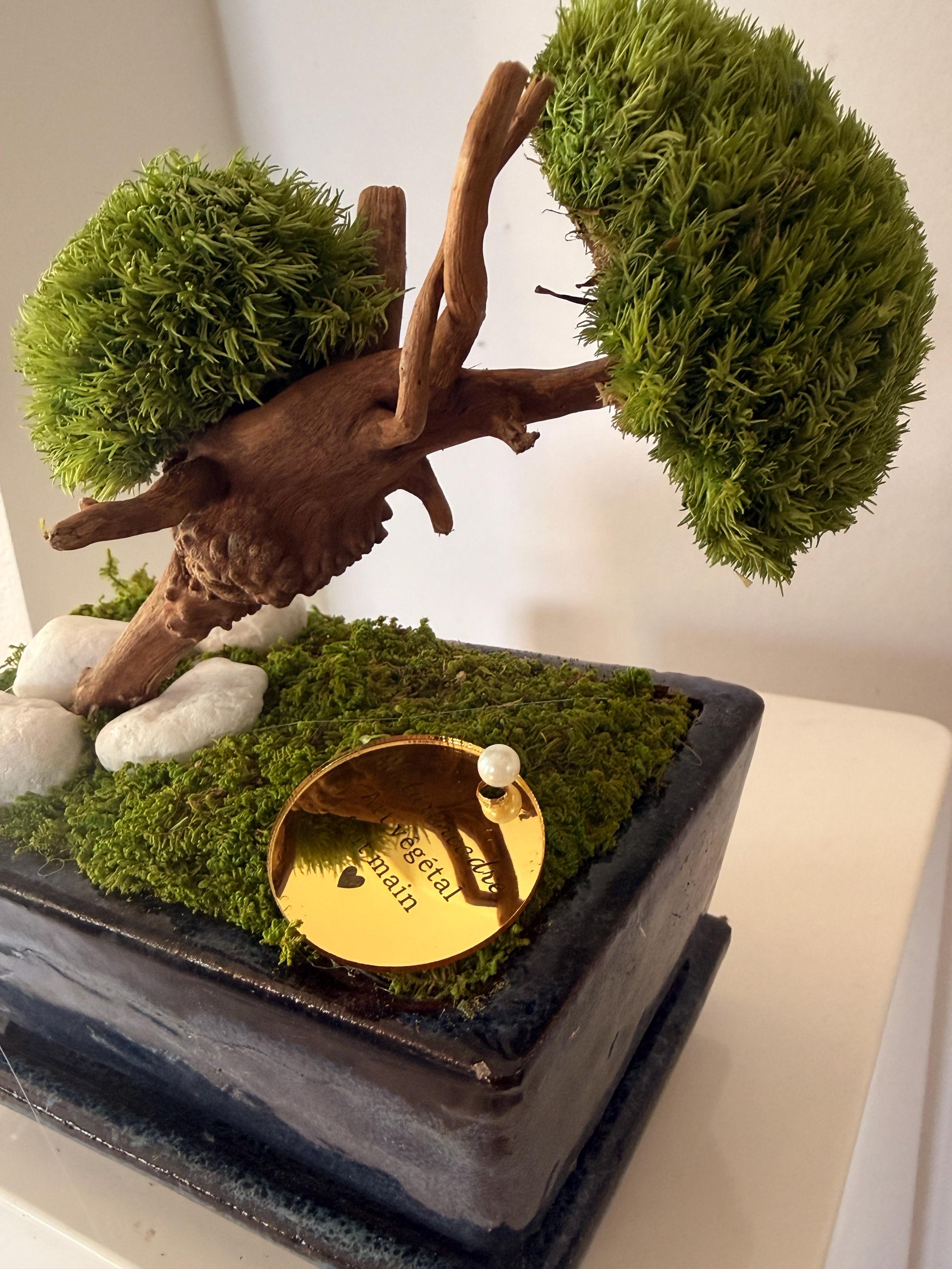 Bonsaï Stabilisé Miniature | Mousse Naturelle & Bois | Déco Zen | 18 cm