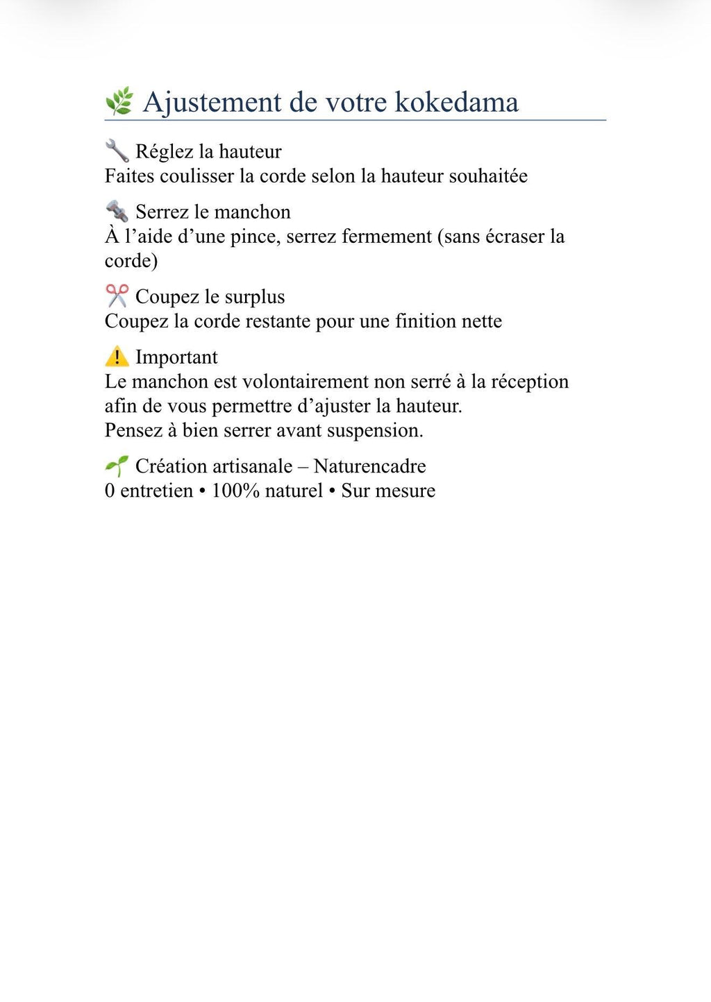 Kokedama Végétal Suspendu – Sphère Stabilisée Fait Main