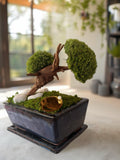 Bonsaï Stabilisé Miniature | Mousse Naturelle & Bois | Déco Zen | 18 cm