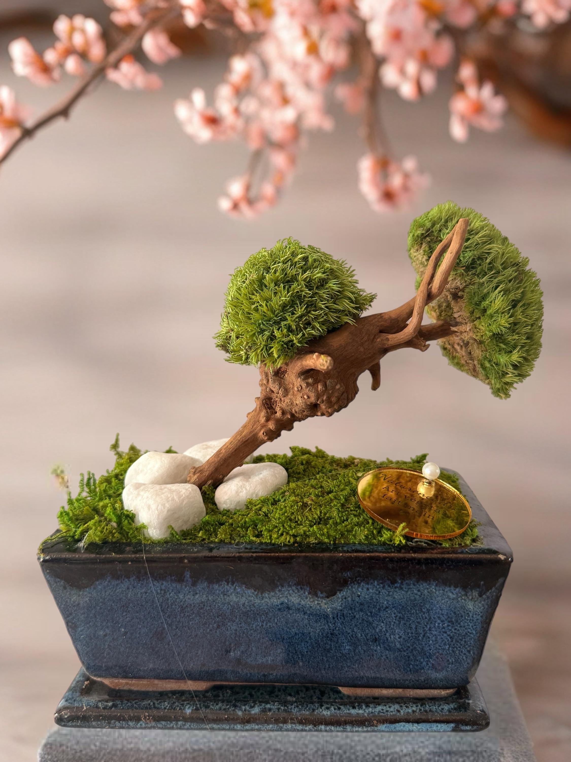 Bonsaï Stabilisé Miniature | Mousse Naturelle & Bois | Déco Zen | 18 cm