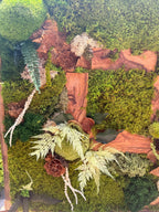 Cadre Végétal Stabilisé Forêt Enchantée 58 cm — Mousse, Lichen & Bois Brut | Déco Wabi-Sabi