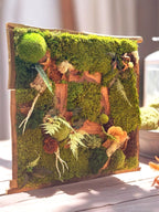 Cadre Végétal Stabilisé Forêt Enchantée 58 cm — Mousse, Lichen & Bois Brut | Déco Wabi-Sabi
