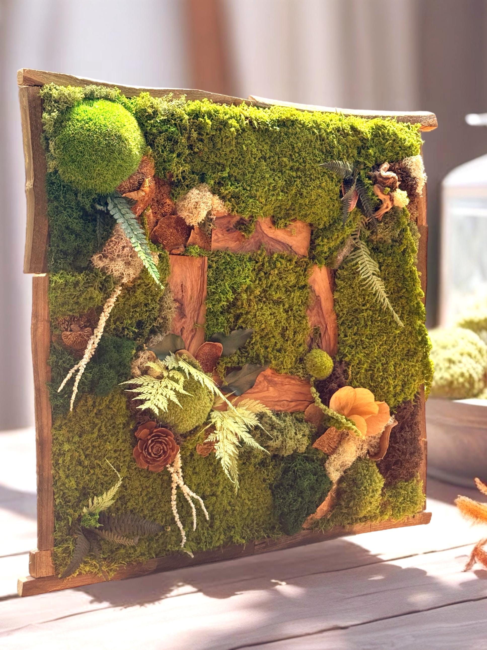 Cadre Végétal Stabilisé Forêt Enchantée 58 cm — Mousse, Lichen & Bois Brut | Déco Wabi-Sabi