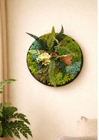 Cadre végétal rond 25 cm en mousses stabilisées vertes avec fougères et hortensia, décoration murale naturelle sans entretien