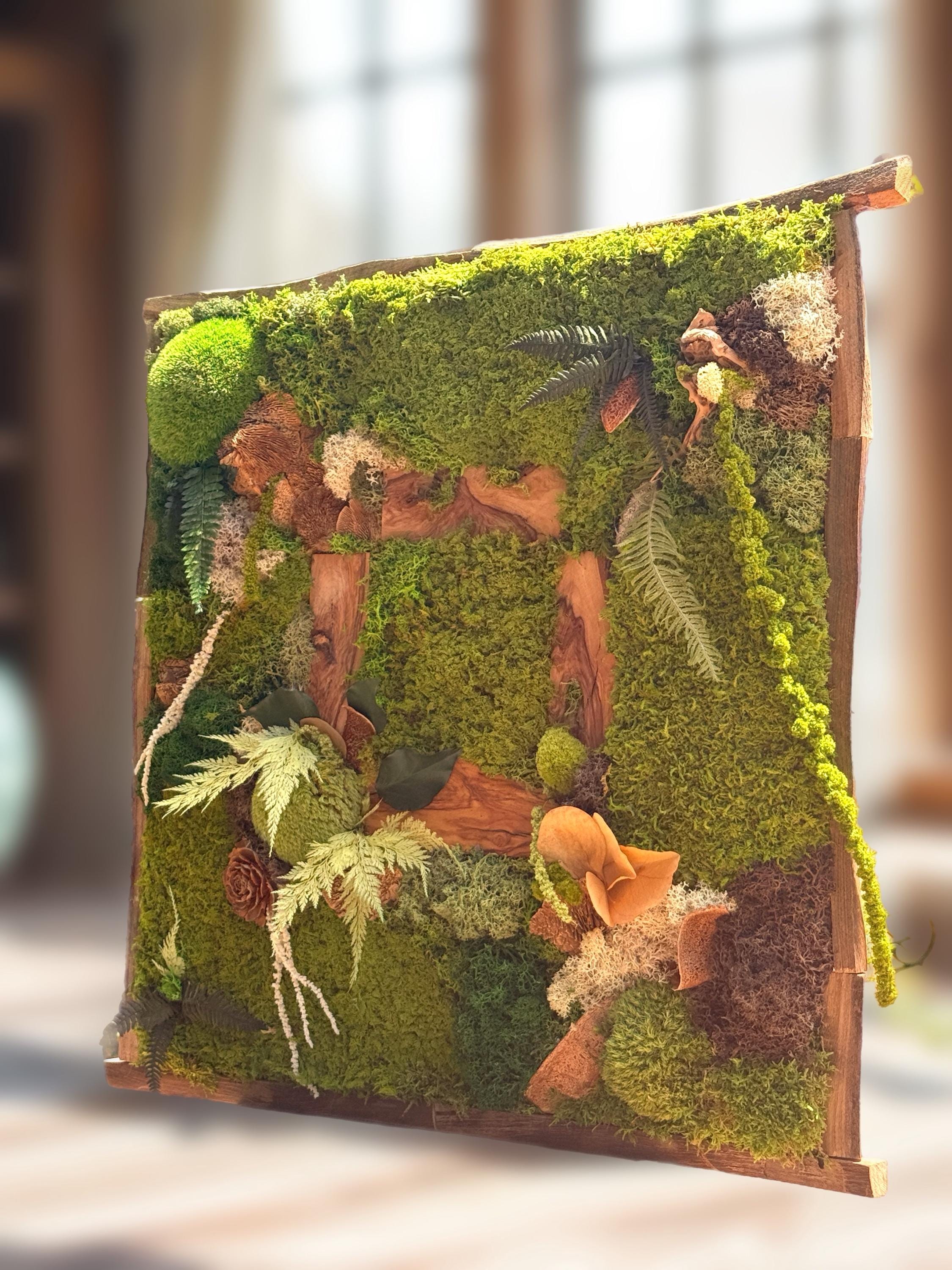 Cadre Végétal Stabilisé Forêt Enchantée 58 cm — Mousse, Lichen & Bois Brut | Déco Wabi-Sabi