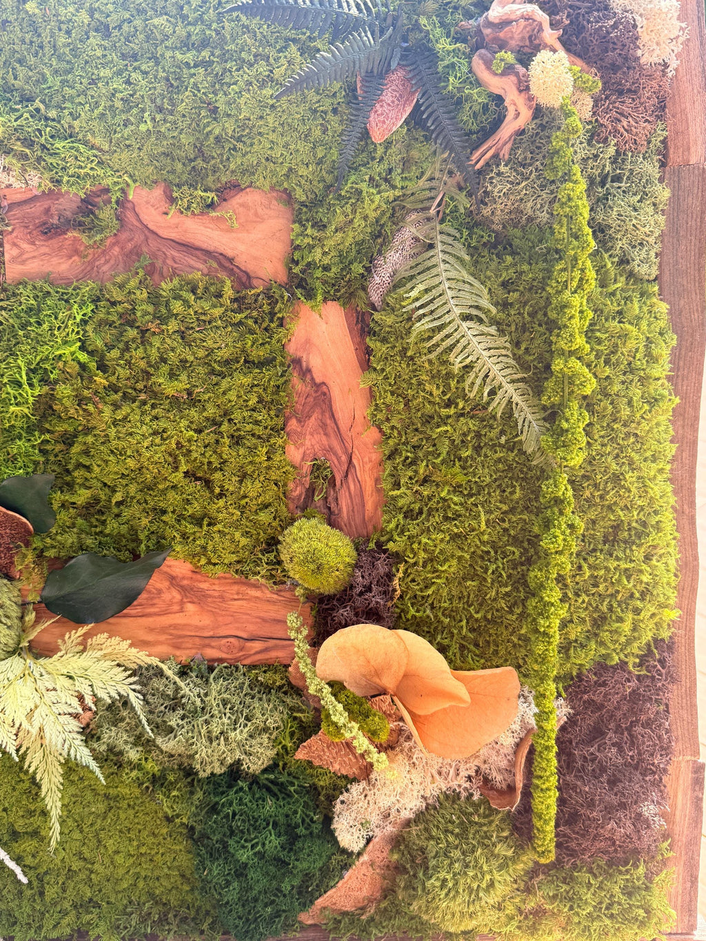 Cadre Végétal Stabilisé Forêt Enchantée 58 cm — Mousse, Lichen & Bois Brut | Déco Wabi-Sabi